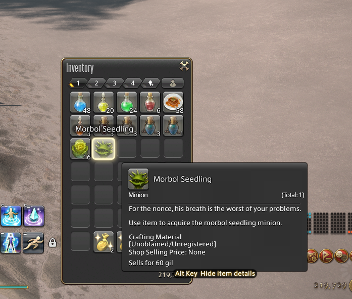 FFXIV Screenshot 9